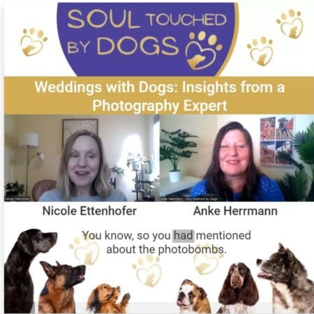 Nicole Ettenhofer - Weddings With Dogs: Insights From A Photography Expert &Raquo; M2Rlos5Kuec