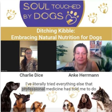 Charlie Dice - Ditching Kibble: Embracing Natural Nutrition For Dogs &Raquo; Ymnmmc5Kuec