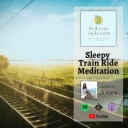 Comparison Is The Thief Of Joy &Raquo; 5Ffbbf5F 2990 49Cc A547 4F0185Ebf809 Sleepy Train Ride Meditation