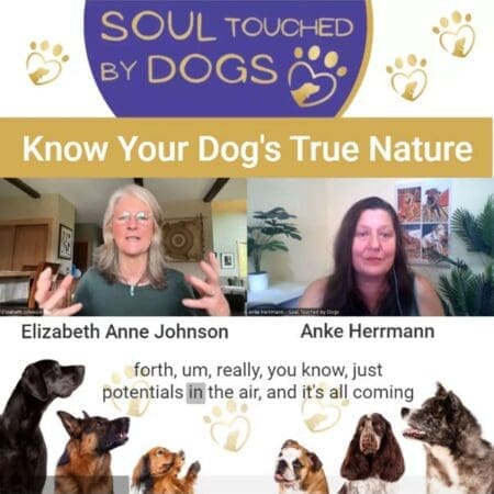 Elizabeth Anne Johnson - Know Your Dog’s True Nature &Raquo; Njcxyy5Kuec