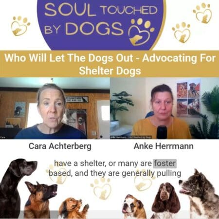 Cara Achterberg - Who Will Let The Dogs Out - Advocating For Shelter Dogs &Raquo; Njliyi5Kuec