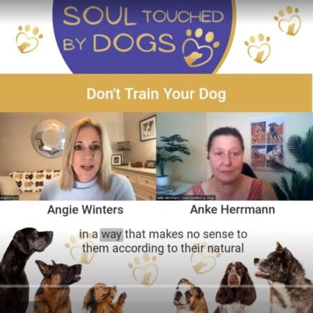 Angie Winters - Don'T Train Your Dog &Raquo; Owjlms5Kuec