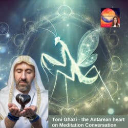 361. Near Death Experience &Amp; Quantum Quarks Of Light - Rob Gentile &Raquo; Toni Ghazi