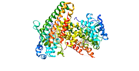 What Links Aging And Disease? A Growing Body Of Research Says It’s A Faulty Metabolism &Raquo; File 20240821 16 Z9Yg64