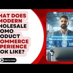 E425:📦What Does A Modern Wholesale Promo Product Ecommerce Experience Look Like? | Brennen Volbeda - Pcna | B2B Commerce Corner #70 | The Ecommerce Edge Podcast &Raquo; Hqdefault 676