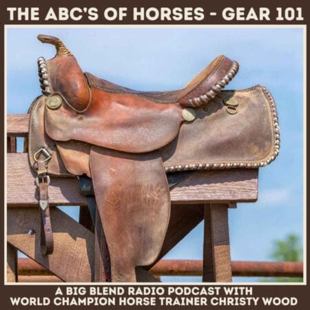 Christy Wood - Horse Gear 101 &Raquo; 1728764416032 73Cfeee7 A3A8 4Fed A234 3D07E8776A73