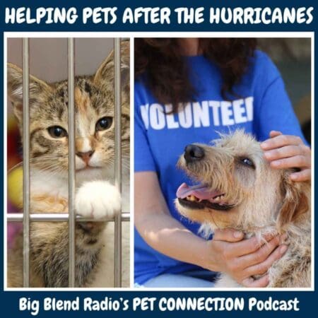 Helping Pets After Hurricanes Helene And Milton &Raquo; 1729118732284 C5Bec202 24F6 4A1E 9D1F 17D6888Cdbf3