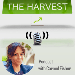 Ceo Interview: The 5Ft View On Harnessing An Entrepreneurial Spirit And Embracing Inclusivity &Raquo; 20240418 070450 51636D999Ed1245C7B694B4092Bc6Cc5