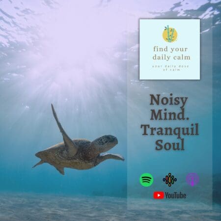 Noisy Mind. Tranquil Soul &Raquo; 36110884 78Ab 4724 B218 7Be3D1914C76 Noisy Mind. Tranquil Soul