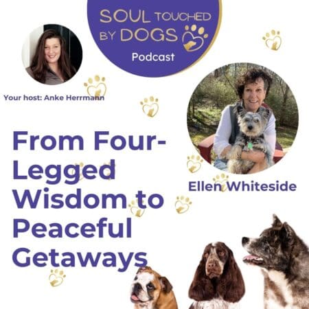 Ellen Whiteside - From Four-Legged Wisdom To Peaceful Getaways &Raquo; Ndm5Mc5Qcgc