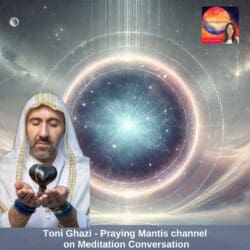 375. Your Spiritual Blueprint &Amp; Powerful Energy Protocols - Aleya Dao &Raquo; Toni Ghazi 2