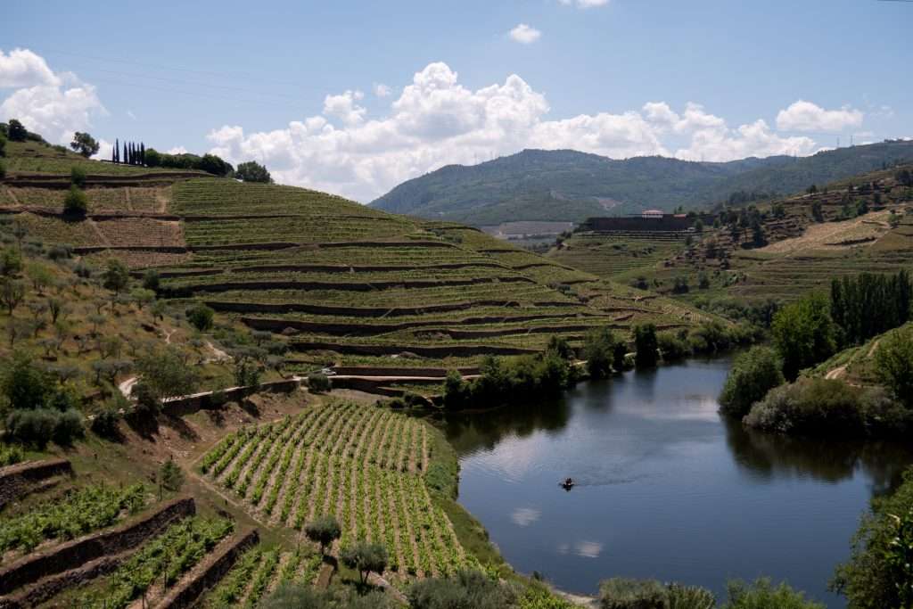 Exploring Northern Portugal: A Guide To Porto And The Douro Valley &Raquo; Vineyard Landscape With Tributary Douro Portugal Copyright 2018 Ralph Velasco 1024X683 1