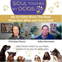 Intuition - Your Gateway To Deeper Connection With Your Dog With Alicia Sweezer &Raquo; Ytu1Ms5Kuec