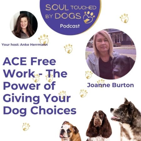 Joanne Burton - Ace Free Work - The Power Of Giving Your Dog Choices &Raquo; Ywjjys5Qcgc