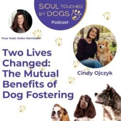 Ellen Whiteside - From Four-Legged Wisdom To Peaceful Getaways &Raquo; Yznkny5Qcgc