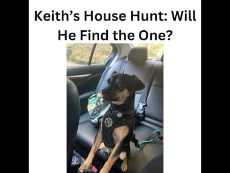 Keith The Dog'S Nyc House Hunt: Can He Find The Perfect Home? 🏡🐾&Quot; &Raquo; Hqdefault 381