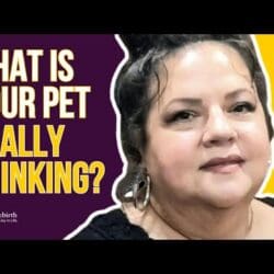 Would You Like To Know What Your Pet Is Thinking? &Raquo; Hqdefault 397