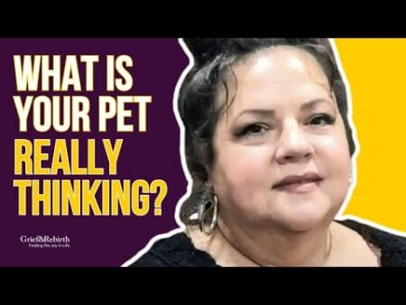 Find Out What Your Pet Is Thinking! &Raquo; Hqdefault 397