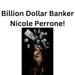 Billion Dollar Banker: Nicole Perrone'S Secrets To Podcasting And Mortgage Success! &Raquo; Hqdefault 663