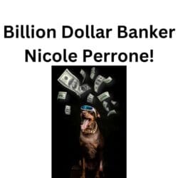 Billion Dollar Banker: Nicole Perrone'S Secrets To Podcasting And Mortgage Success! &Raquo; Yw3Jykazsvrr31B0Rkrowr9Ipeo6