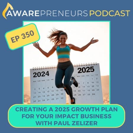 350 | Creating A 2025 Growth Plan For Your Impact Business With Paul Zelizer &Raquo; Ep 350 Growth Plan Solo Low Res