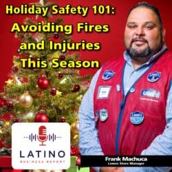 Holiday Blues: Understanding Seasonal Affective Disorder (S.a.d.) &Raquo; Lbr Ep 104 Holiday Safety 101 Track Image