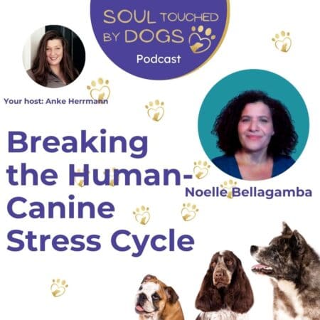 Noelle Bellagamba - Breaking The Human-Canine Stress Cycle: The Art Of Healing Dogs And Their Humans &Raquo; Mwq4Ys5Qcgc