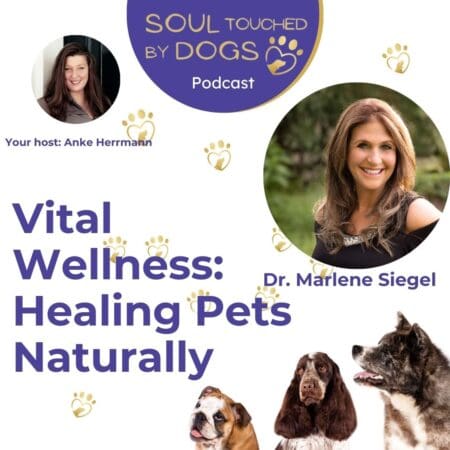 Dr. Marlene Siegel - Vital Wellness: Healing Pets Naturally &Raquo; Ytbimi5Qcgc