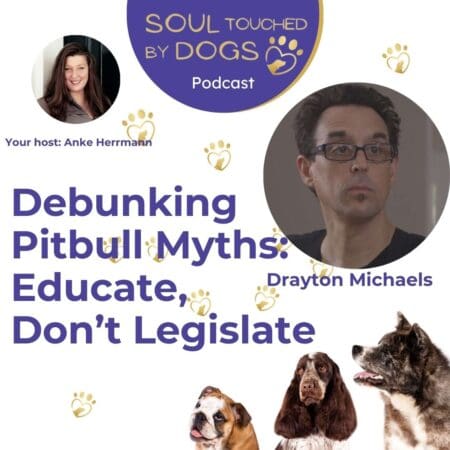 Drayton Michaels - Debunking Pitbull Myths: Educate, Don'T Legislate &Raquo; Ywq4Ys5Qcgc