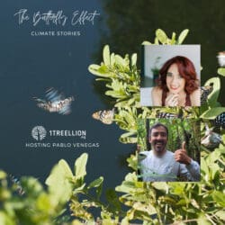 Episode 67 / The Butterfly Story Of Sustainable Companies &Amp; Sustainable Consumers Hosting Ellen Williams &Raquo; 6396890 1732116025757 6E486F8A7A3Fc