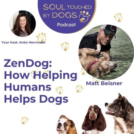 Matt Beisner - Zendog: How Helping Humans Helps Dogs &Raquo; Mwjlnc5Qcgc