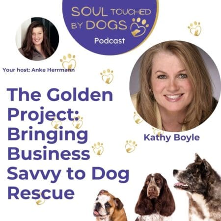 Kathy Boyle - The Golden Project: Bringing Business Savvy To Dog Rescue &Raquo; Otk5Yy5Qcgc