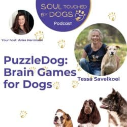 Noelle Bellagamba - Breaking The Human-Canine Stress Cycle: The Art Of Healing Dogs And Their Humans &Raquo; Y2I1Oc5Qcgc