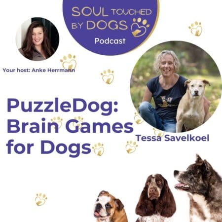 Tessa Savelkoel - Puzzledog: Brain Games For Dogs &Raquo; Y2I1Oc5Qcgc