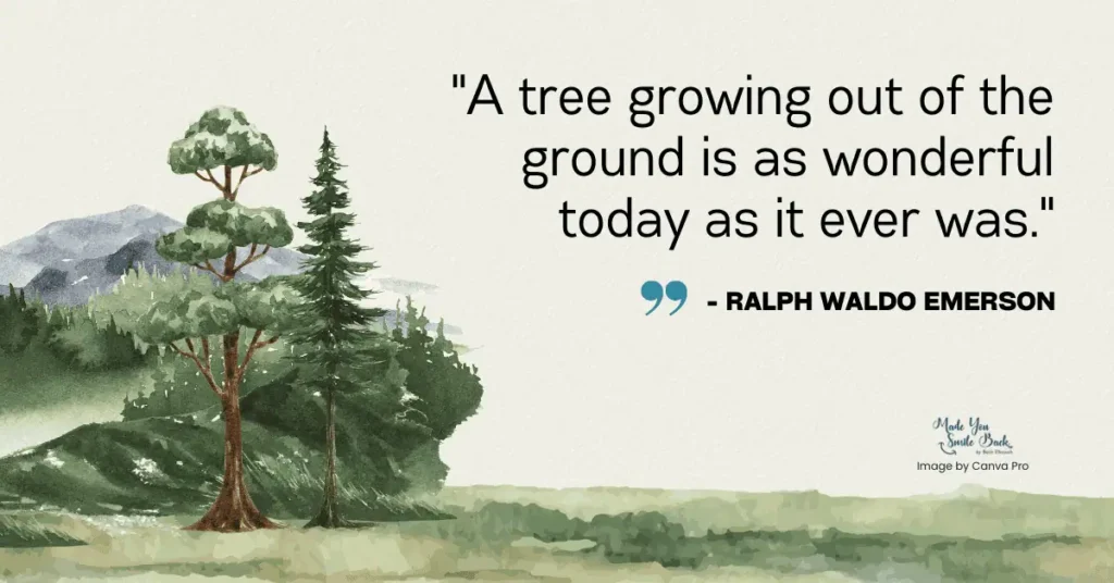 25 Top Nature Aesthetic Quotes &Raquo; A Tree Growing Out Of The Ground Is As Wonderful Today As It Ever Was 1024X536 1
