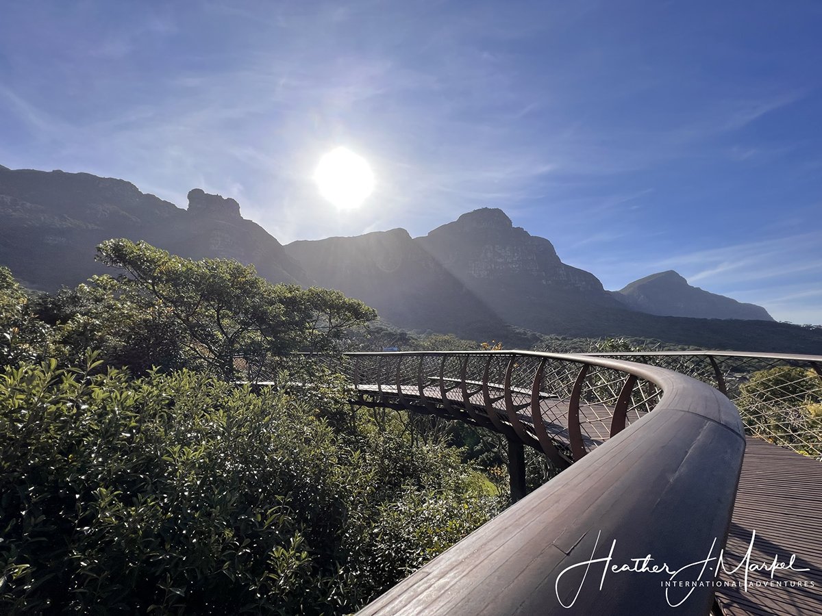 Kirstenbosch Gardens Cape Town