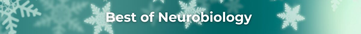 January 2026 Leadership Development Digest &Raquo; Neurobiology Scaled 1