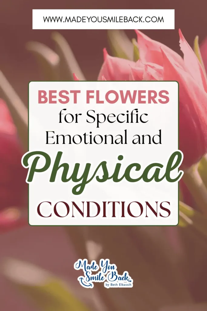Flower Therapy: Transform Your Life Through The Ancient Art Of Floral Healing &Raquo; Best Flowers For Specific Emotional And Physical Conditions 683X1024 1