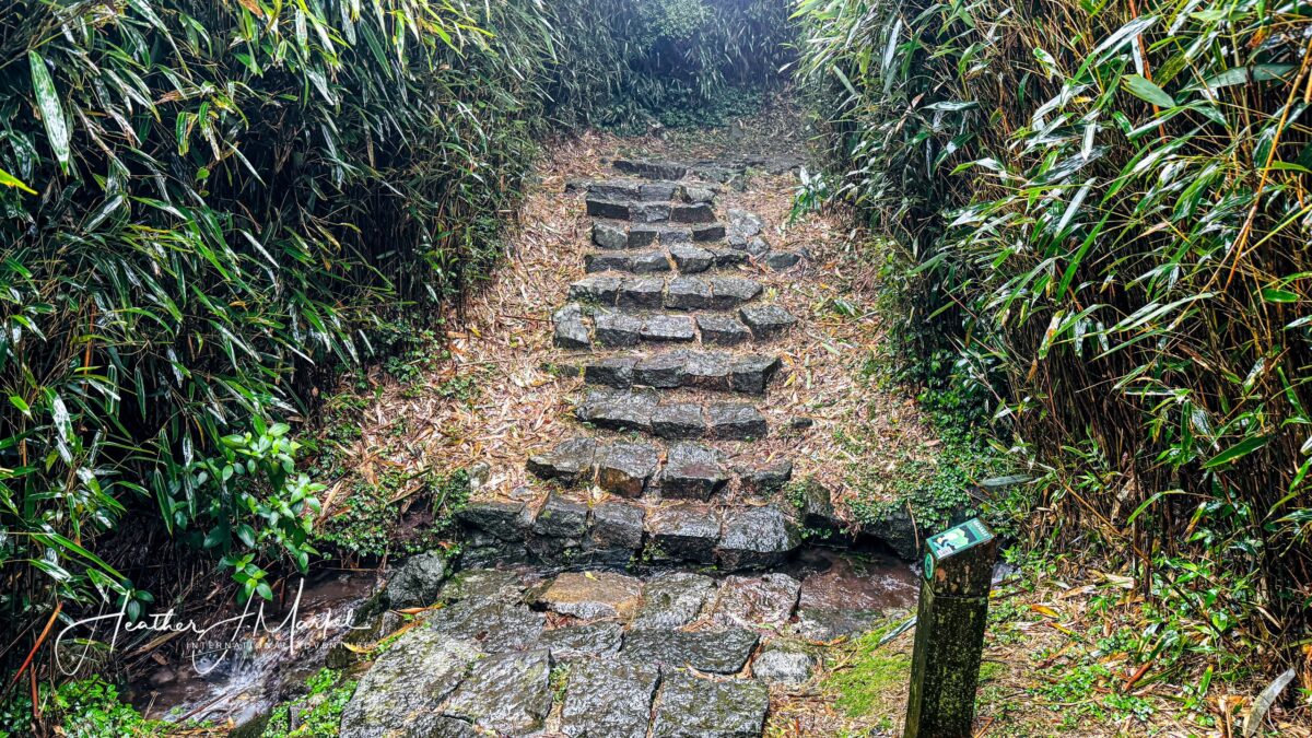 Rain On The Path At Yangminshan