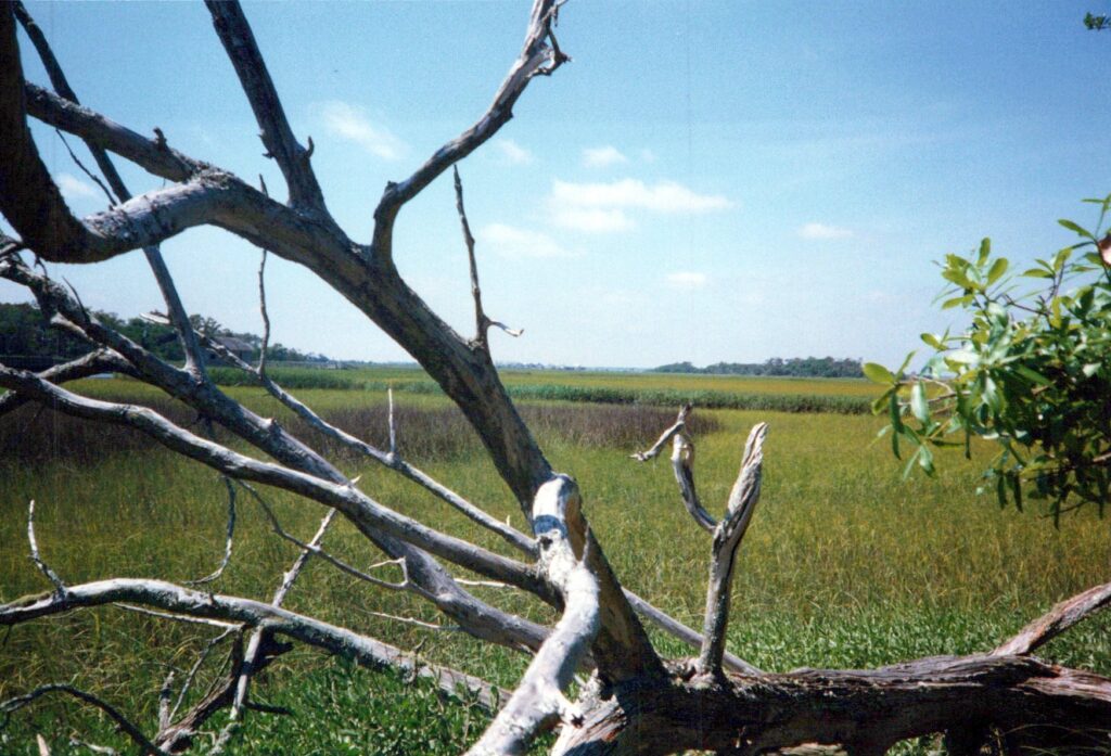 Our Two-Week Detour To Magical Bald Head Island &Raquo; Bald Head Island 0004 A